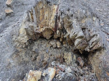 Coğrafi doku fotoğrafı. Toprak ve taşın doğal dokusu. dizayn boş