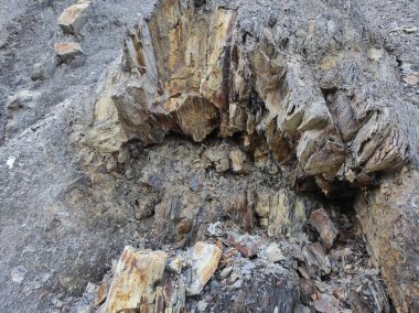 Coğrafi doku fotoğrafı. Toprak ve taşın doğal dokusu. dizayn boş