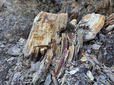 Coğrafi doku fotoğrafı. Toprak ve taşın doğal dokusu. dizayn boş