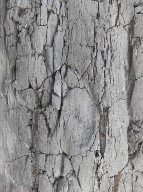 Coğrafi doku fotoğrafı. Toprak ve taşın doğal dokusu. dizayn boş