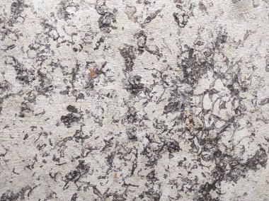 Gri beton doku. Gri doku arkaplanı ve boş