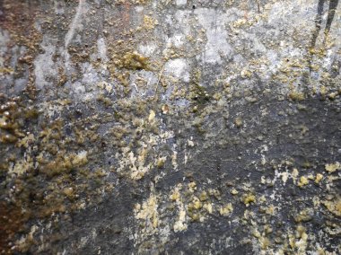 Gri beton doku. Gri doku arkaplanı ve boş