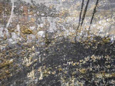 Gri beton doku. Gri doku arkaplanı ve boş