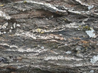 Gri doğal taş dokusu arka plan. nehir taşı