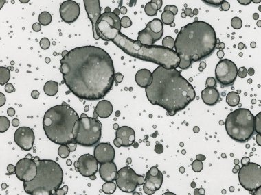 Soyut sanat noktaları. Japon sanatı. Modern sanat alkol mürekkebi