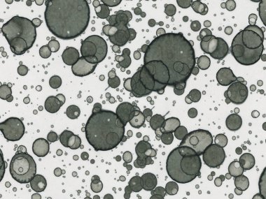 Soyut sanat noktaları. Japon sanatı. Modern sanat alkol mürekkebi