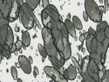 Soyut sanat noktaları. Japon sanatı. Modern sanat alkol mürekkebi