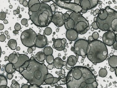 Soyut sanat noktaları. Japon sanatı. Modern sanat alkol mürekkebi