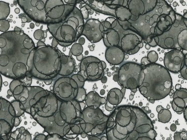 Soyut sanat noktaları. Japon sanatı. Modern sanat alkol mürekkebi