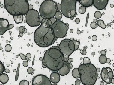 Soyut sanat noktaları. Japon sanatı. Modern sanat alkol mürekkebi