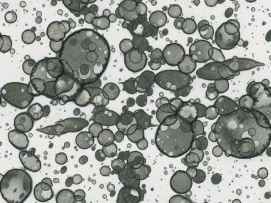 Soyut sanat noktaları. Japon sanatı. Modern sanat alkol mürekkebi