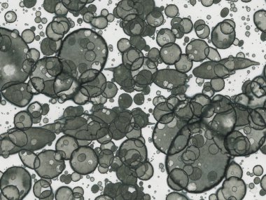 Soyut sanat noktaları. Japon sanatı. Modern sanat alkol mürekkebi