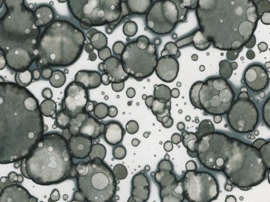 Soyut sanat noktaları. Japon sanatı. Modern sanat alkol mürekkebi