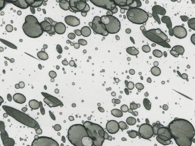 Soyut sanat noktaları. Japon sanatı. Modern sanat alkol mürekkebi