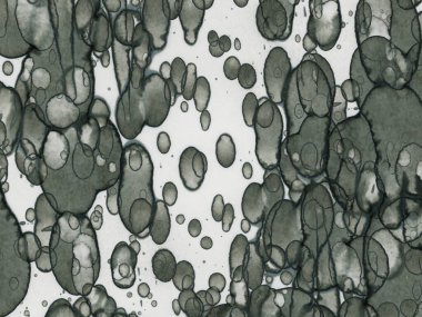 Soyut sanat noktaları. Japon sanatı. Modern sanat alkol mürekkebi