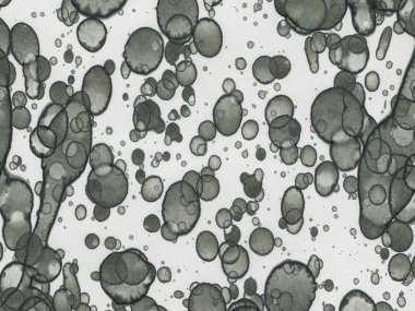 Soyut sanat noktaları. Japon sanatı. Modern sanat alkol mürekkebi