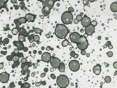 Soyut sanat noktaları. Japon sanatı. Modern sanat alkol mürekkebi