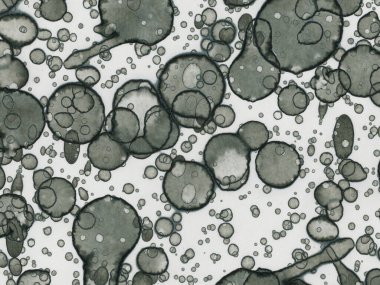 Soyut sanat noktaları. Japon sanatı. Modern sanat alkol mürekkebi