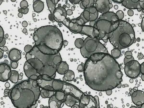 Soyut sanat noktaları. Japon sanatı. Modern sanat alkol mürekkebi