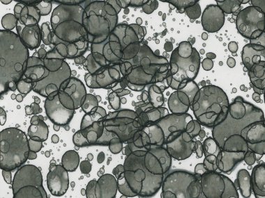 Soyut sanat noktaları. Japon sanatı. Modern sanat alkol mürekkebi