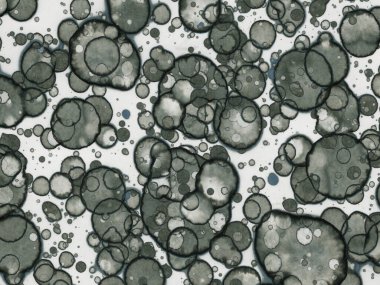 Soyut sanat noktaları. Japon sanatı. Modern sanat alkol mürekkebi