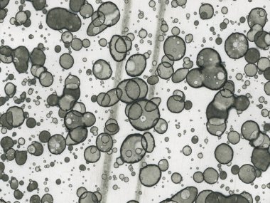 Soyut sanat noktaları. Japon sanatı. Modern sanat alkol mürekkebi