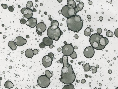 Soyut sanat noktaları. Japon sanatı. Modern sanat alkol mürekkebi