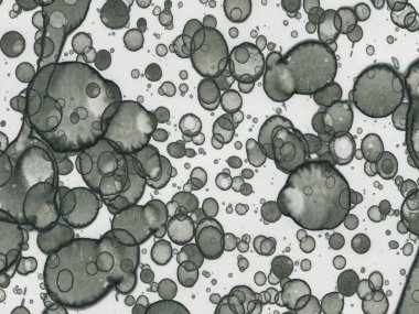 Soyut sanat noktaları. Japon sanatı. Modern sanat alkol mürekkebi