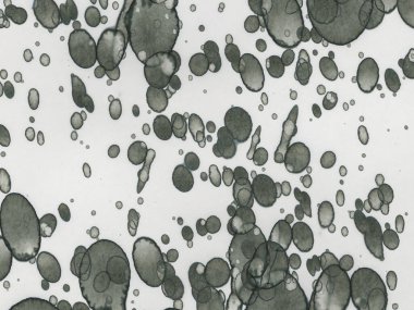 Soyut sanat noktaları. Japon sanatı. Modern sanat alkol mürekkebi