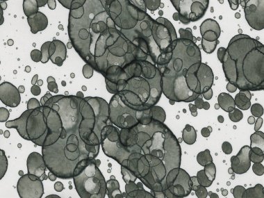 Soyut sanat noktaları. Japon sanatı. Modern sanat alkol mürekkebi