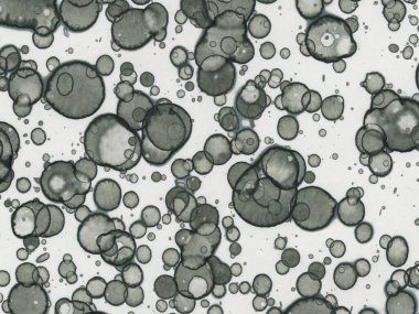 Soyut sanat noktaları. Japon sanatı. Modern sanat alkol mürekkebi