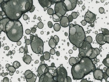 Soyut sanat noktaları. Japon sanatı. Modern sanat alkol mürekkebi