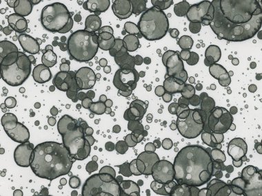 Soyut sanat noktaları. Japon sanatı. Modern sanat alkol mürekkebi