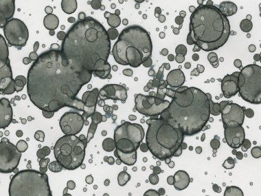 Soyut sanat noktaları. Japon sanatı. Modern sanat alkol mürekkebi