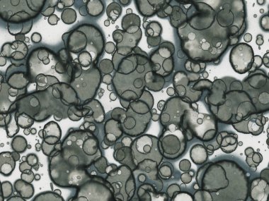 Soyut sanat noktaları. Japon sanatı. Modern sanat alkol mürekkebi