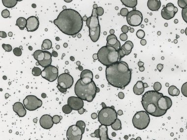 Soyut sanat noktaları. Japon sanatı. Modern sanat alkol mürekkebi