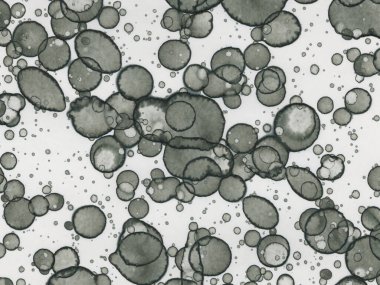 Soyut sanat noktaları. Japon sanatı. Modern sanat alkol mürekkebi