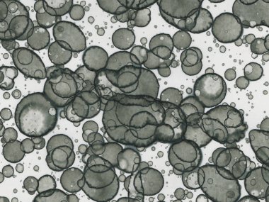 Soyut sanat noktaları. Japon sanatı. Modern sanat alkol mürekkebi