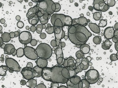 Soyut sanat noktaları. Japon sanatı. Modern sanat alkol mürekkebi