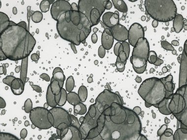 Soyut sanat noktaları. Japon sanatı. Modern sanat alkol mürekkebi