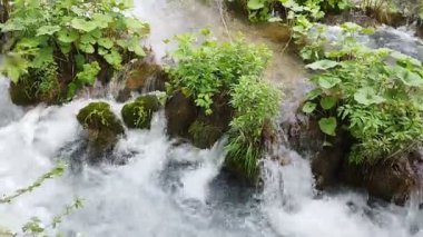 Bir dağ nehri akıyor. Su ve nehir manzarası