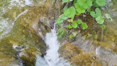 Bir dağ nehri akıyor. Su ve nehir manzarası