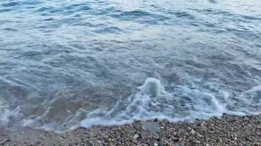 Deniz kıyısı dalgaları. Okyanus kenarında dinleniyor. Tatil yeri, deniz kenarında bir yaz günü