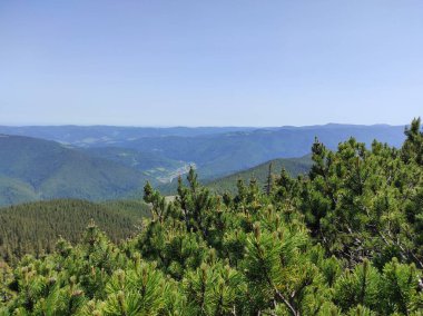 Gorgan Dağı. Ukrayna Karpat Dağları. Ukrayna Turizmi