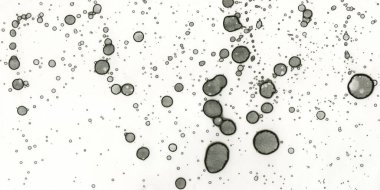 Yazarın sanatsal soyutlamaları. Suluboya ve alkol mürekkebi. Modern sanat.