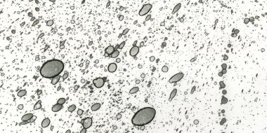 Yazarın sanatsal soyutlamaları. Suluboya ve alkol mürekkebi. Modern sanat.