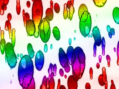 Yazarın sanatsal soyutlamaları. Gökkuşağı lekeleri. Suluboya ve alkol mürekkebi.