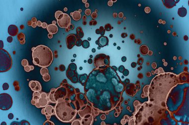 Yazarın sanat soyutlamaları. Arka plan için sanat dokuları. Modern sanat