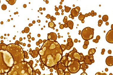 Yazarın sanat soyutlamaları. Arka plan için sanat dokuları. Modern sanat