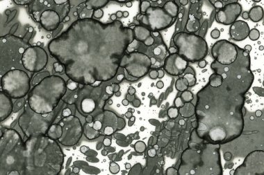 Yazarın sanat soyutlamaları. Arka plan için sanat dokuları. Modern sanat